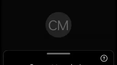 Capture d'écran de WebEx Meetings 13