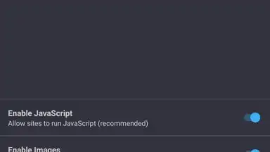 Capture d'écran de Private Browser 16