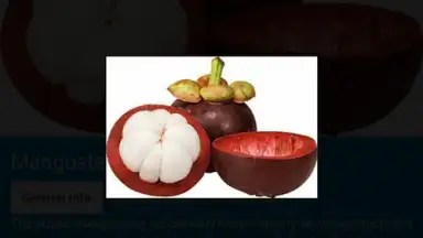Capture d'écran de Food Dictionary 8