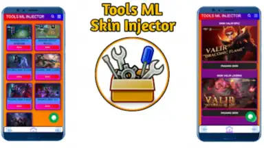 Capture d'écran de TOOLS ML INJECTOR 1
