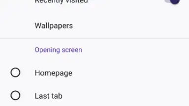 Capture d'écran de Firefox 2