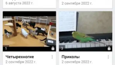 Capture d'écran de Video App for VK 3