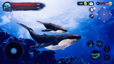 Capture d'écran de The Humpback Whales 17