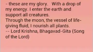 Capture d'écran de Daily Hindu Prayers 9
