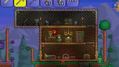 Capture d'écran de Terraria 7