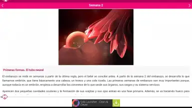 Capture d'écran de Semanas Embarazo 12