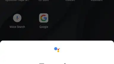 Capture d'écran de Google Assistant 14