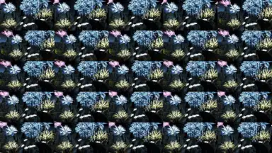Capture d'écran de AnTuTu 3DBench Lite 7