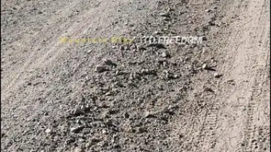 Capture d'écran de DJI Mimo 4