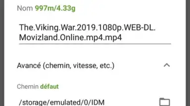 Capture d'écran de IDM (internet download menager) 2