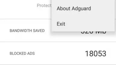 Capture d'écran de Adguard 12