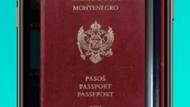 Capture d'écran de Passport Index 7