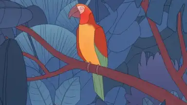 Capture d'écran de Bird Alone 4