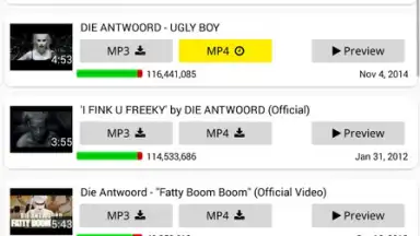 Capture d'écran de YT3 Music Downloader 8
