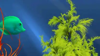 Capture d'écran de Tropical aquarium 2