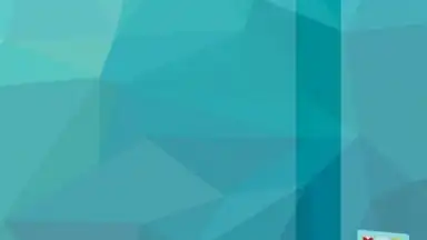 Capture d'écran de S Launcher 2