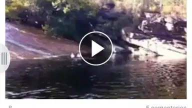Capture d'écran de Appbloo FB Video Downloader 1