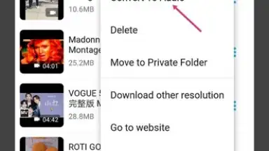 Capture d'écran de Video Downloader & Video Saver 7