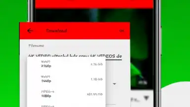 Capture d'écran de Fast Youtube Downloader 6