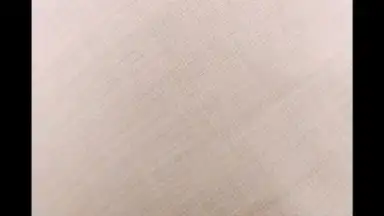 Capture d'écran de HedgeCam 2 1