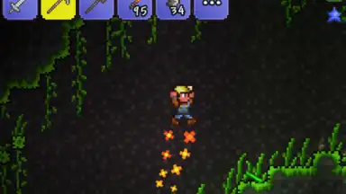 Capture d'écran de Terraria 5