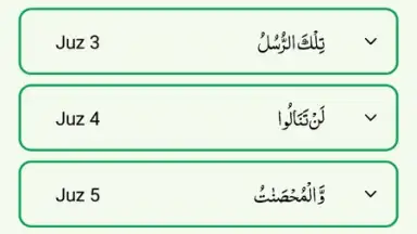 Capture d'écran de Quran Majeed 1