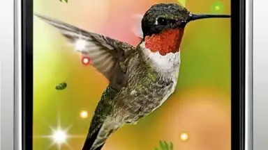 Capture d'écran de Colibri Spring 3D LWP 2