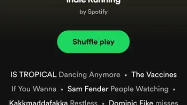 Capture d'écran de Spotify Lite 4