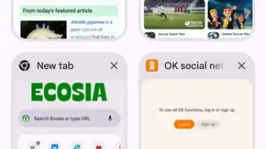 Capture d'écran de Chrome Beta 19