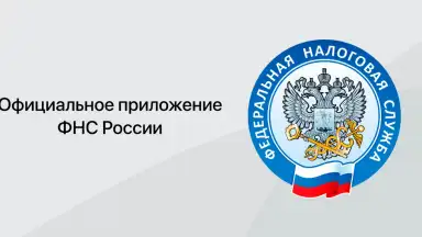 Capture d'écran de Налоги ФЛ 1