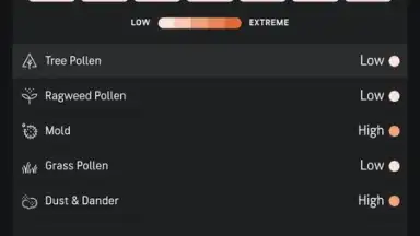 Capture d'écran de AccuWeather 4