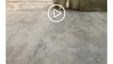 Capture d'écran de InstaSave 1