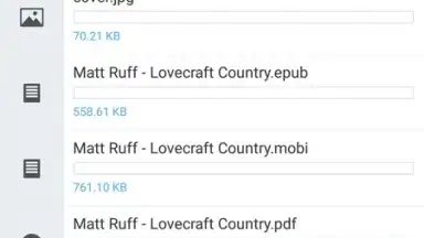Capture d'écran de YouTorrents 7