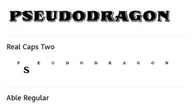 Capture d'écran de WhatTheFont 4