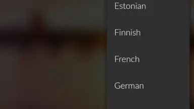 Capture d'écran de Microsoft Translator 4