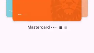 Capture d'écran de Google Wallet 3