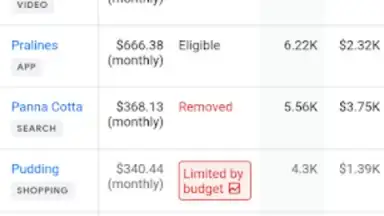 Capture d'écran de Google Ads 2