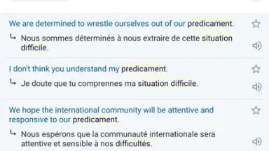 Capture d'écran de Reverso Translation Dictionary 3