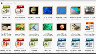 Capture d'écran de EnFile Manager 3