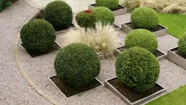 Capture d'écran de Garden Design Ideas 4