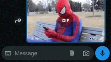 Capture d'écran de WhatsApp Business 6