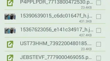 Capture d'écran de Download Manager Android 4