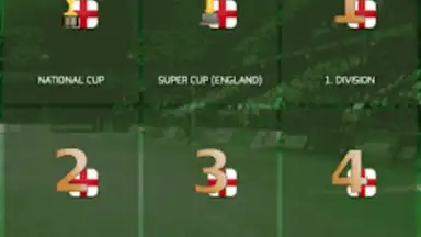 Capture d'écran de True Football 3 5