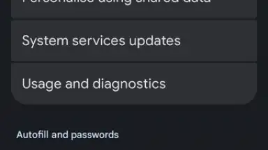 Capture d'écran de Google Play services 22