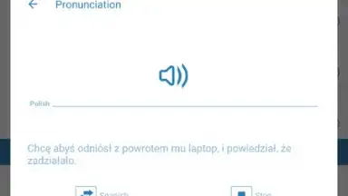 Capture d'écran de Reverso Translation Dictionary 14
