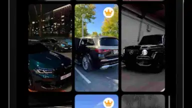 Capture d'écran de Wallpics 1