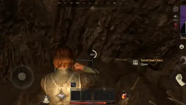 Capture d'écran de Abyss of Dungeons (Dark and Darker Mobile) 13