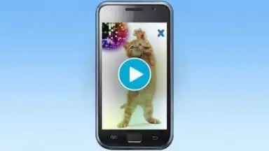 Capture d'écran de Talking, Dancing Cat. 1