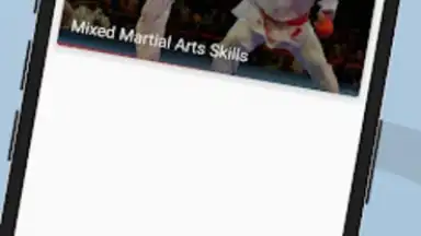 Capture d'écran de Ultimate MMA Fighting Program 2