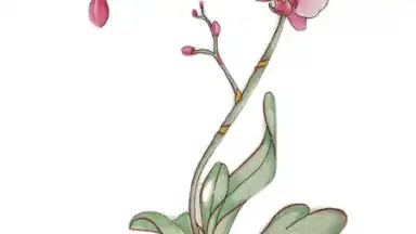 Capture d'écran de Shuffles by Pinterest 2